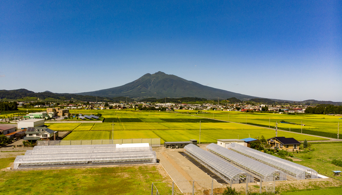 岩木山といちご農園